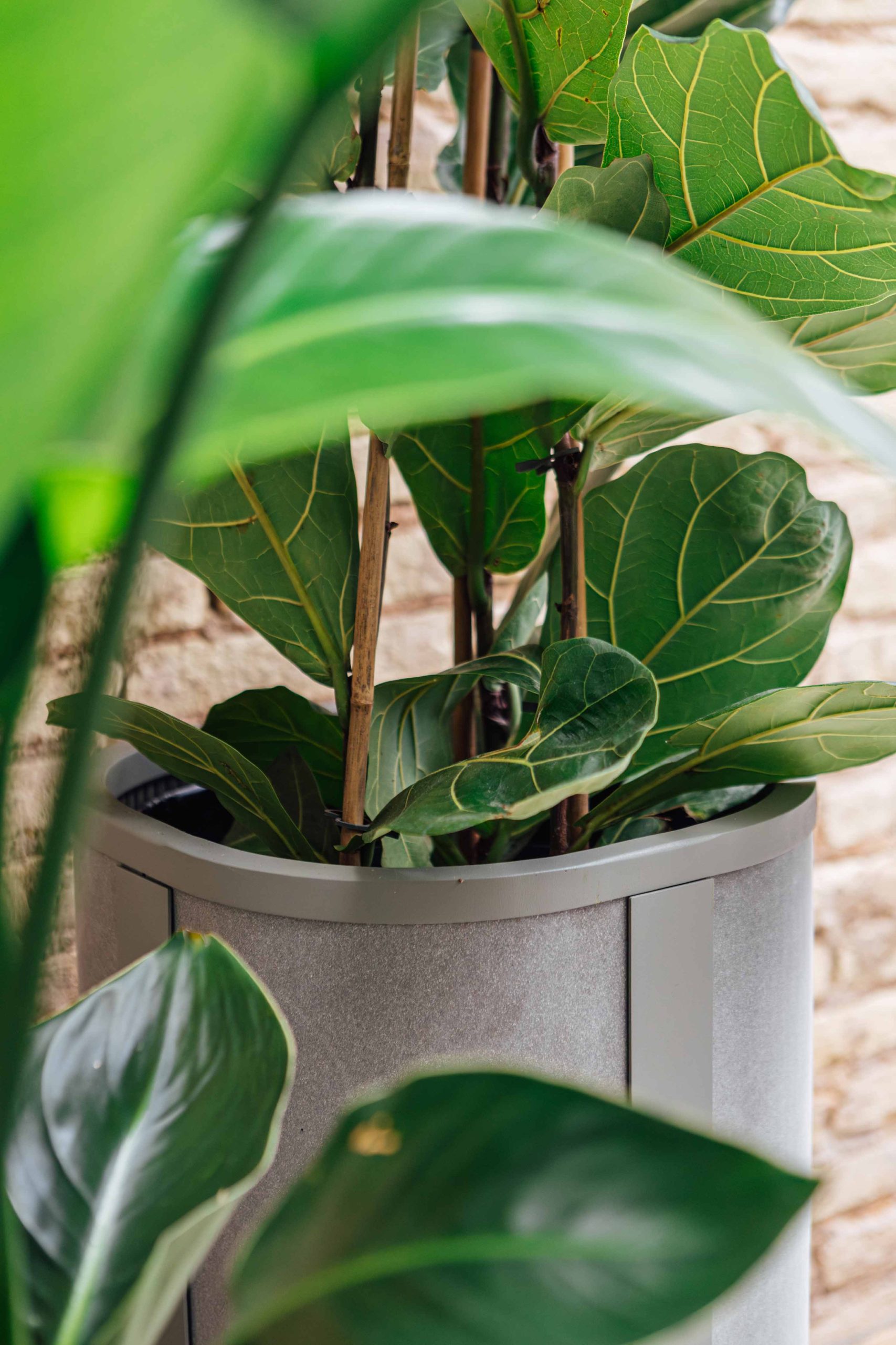 FURIOSO_CitySensLab_-26