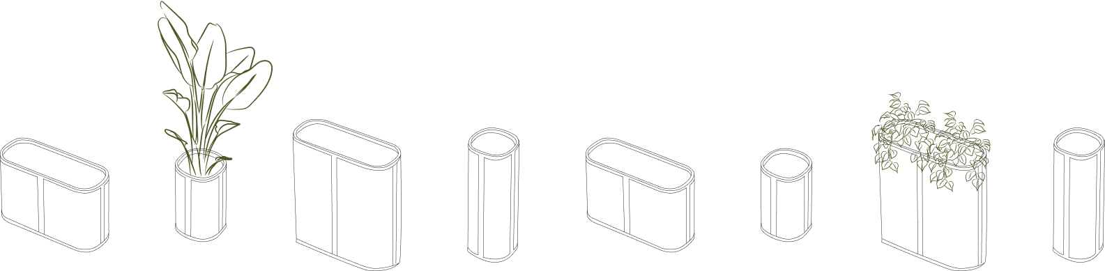 separado-ilustracion-crysallis