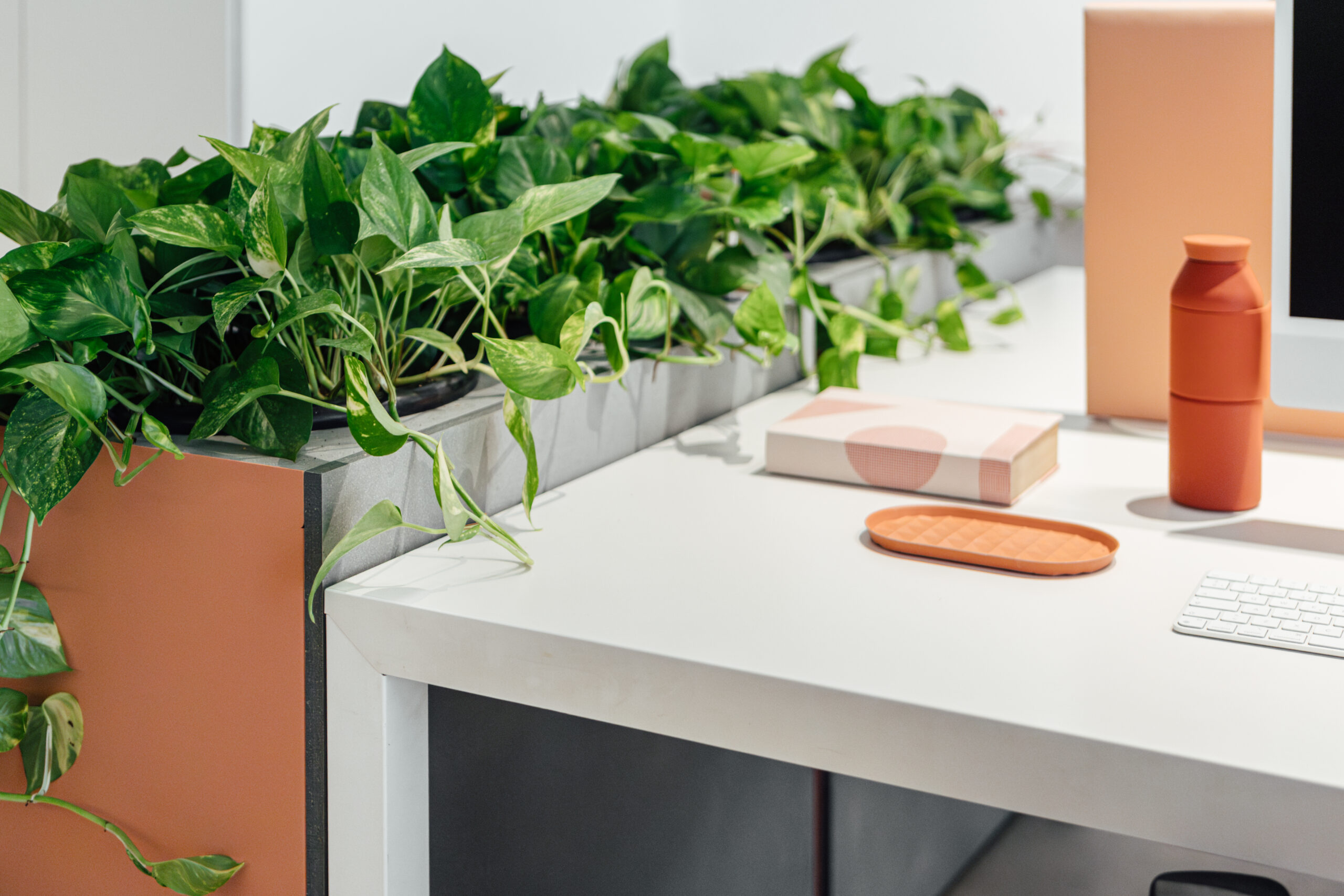 Odosdesign – Oficinas – mobiliario biofílico CitySens Lab