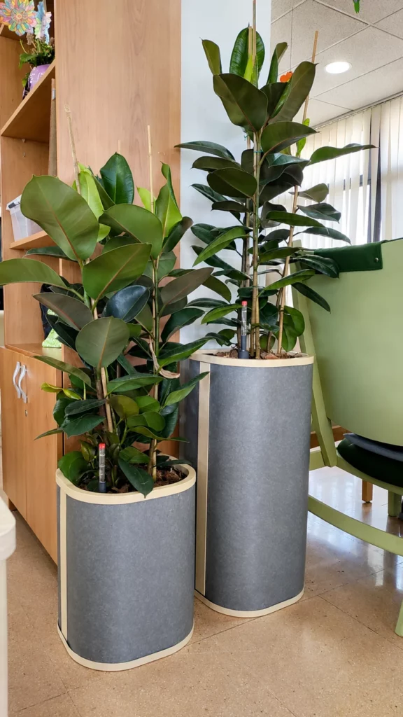 Beneficios del Diseño Biofílico en Oficinas – mobiliario biofílico CitySens Lab