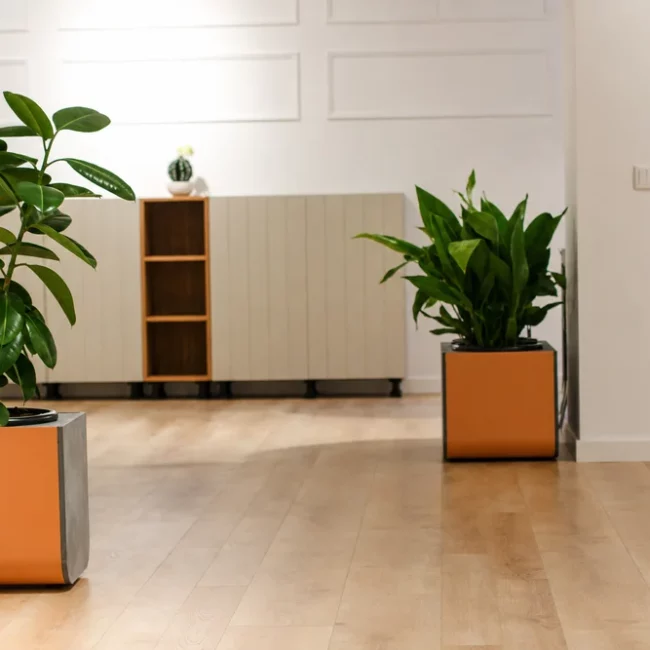 Mobiliario modular